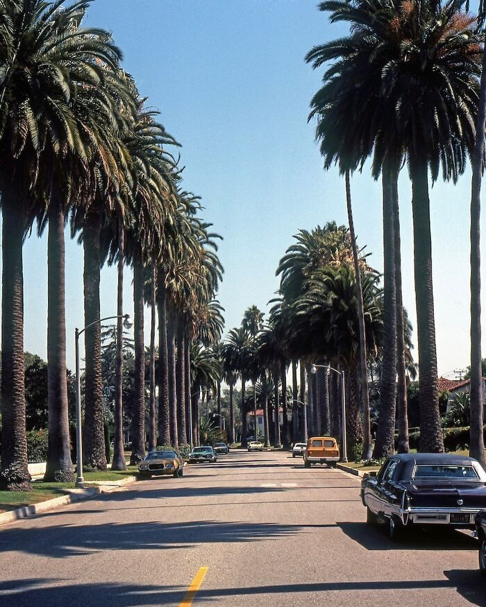 1970s West Coast street scene with classic cars and palm trees, capturing the vintage iconic era vibe.
