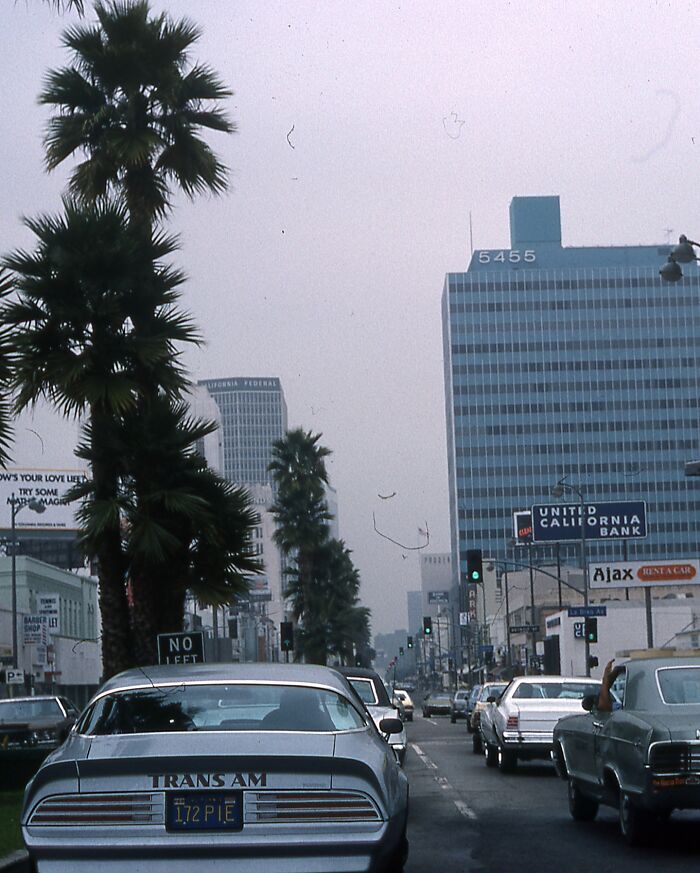 1970s West Coast street view with vintage Trans Am, classic cars, palm trees, and tall buildings in the background.