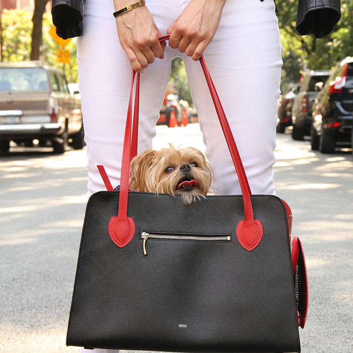 Dog in a stylish black and red handbag, carried by a person in white pants, on a city street.
