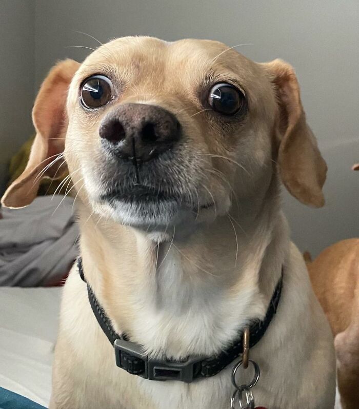 Woke Up 10 Minutes Late For Breakfast