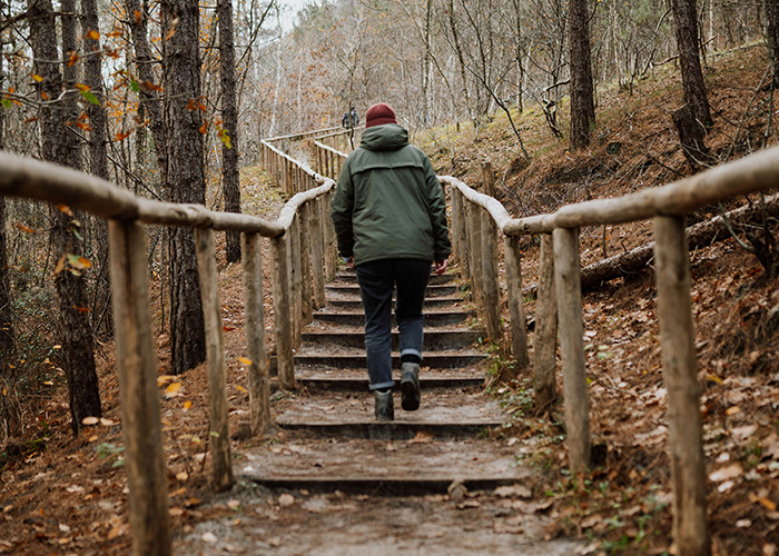Person walking on a forest trail, demonstrating a 5-minute walk health hack for well-being.