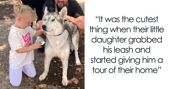 Rescued Husky With Separation Anxiety Has His Body And Soul Healed After Bonding With A Little Girl