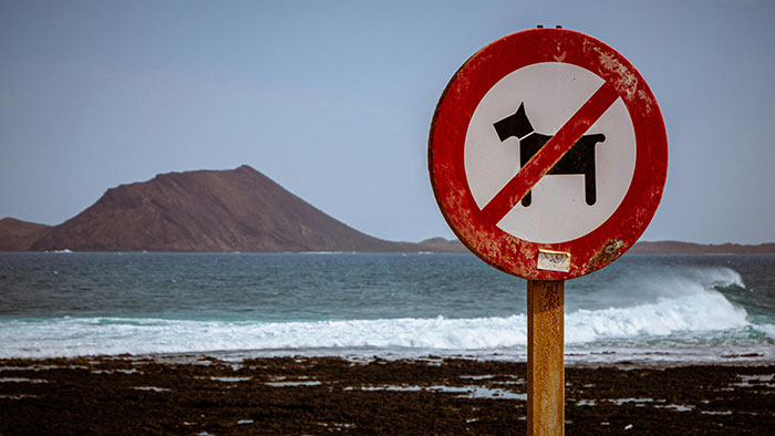 "No dogs allowed sign at a beach with waves and an island in the background."