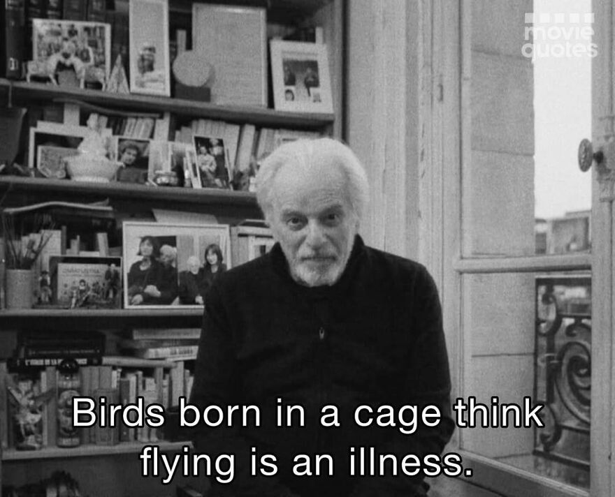 Black and white scene with man in library, text overlay reads "Birds born in a cage think flying is an illness," relating to movie quotes.