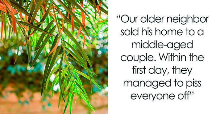 “Enjoy The View”: Neighbor Gets The Perfect Revenge By Doing Absolutely Nothing