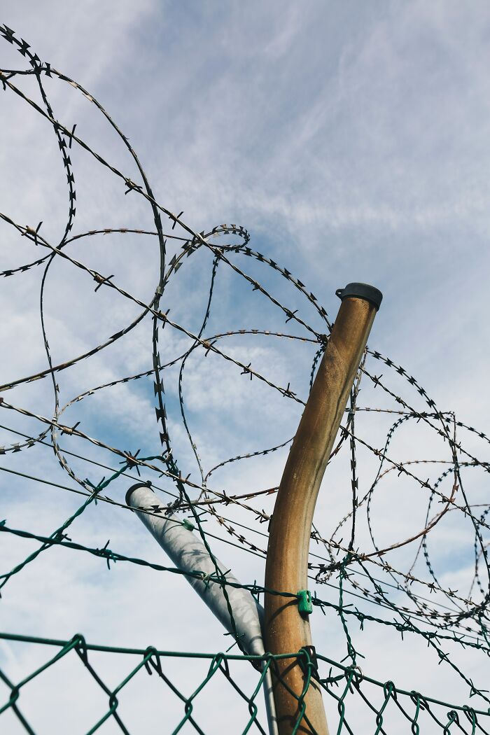 Barbed wire fence under cloudy sky, symbolizing normal practices today that may seem barbaric in 50 years.
