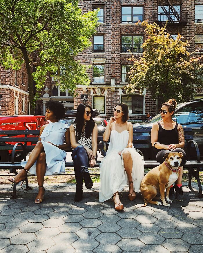Four women and a dog sitting on a park bench, under a tree, in a city setting.
