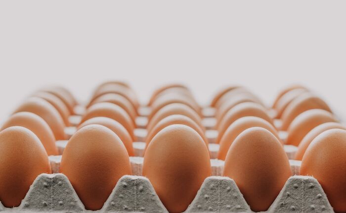 Eggs arranged in a carton, highlighting 2024 trends people prefer to avoid next year.