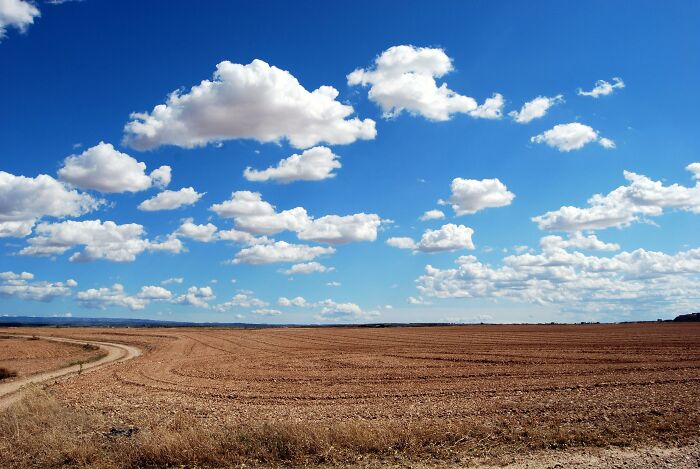 Open sky with fluffy clouds over a vast, harvested field, showcasing rare everyday facts of rural landscapes.