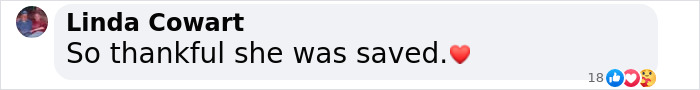 Facebook comment by Linda Cowart expressing relief and gratitude with a heart emoji. Facebook comment by Linda Cowart expressing relief and gratitude with a heart emoji.