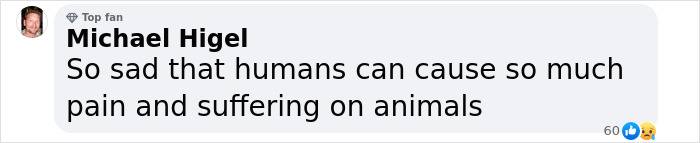 Comment expressing sadness over animal suffering, highlighting human impact on elephants. Comment expressing sadness over animal suffering, highlighting human impact on elephants.