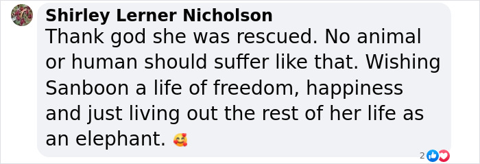 Comment about a rescued elephant's freedom and happiness from chains and daily harm. Comment about a rescued elephant's freedom and happiness from chains and daily harm.
