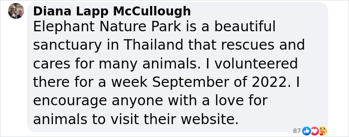Comment about volunteering at Elephant Nature Park, a sanctuary rescuing animals in Thailand. Comment about volunteering at Elephant Nature Park, a sanctuary rescuing animals in Thailand.