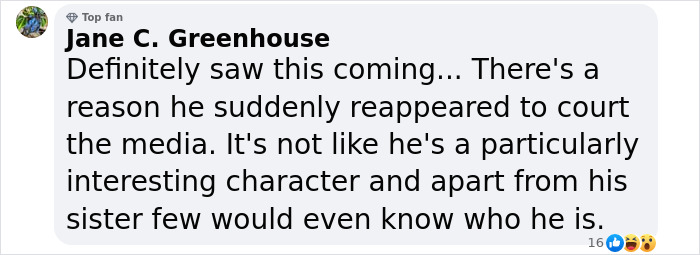 Facebook comment discussing Earl Spencer's media presence and his sister's influence.