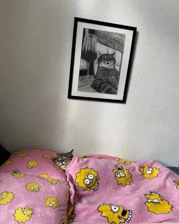 Cat snug under Lisa Simpson blanket with a framed cat photo, a truly blessed image.