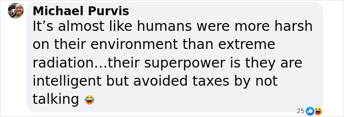 Comment discussing Chornobyl dogs' survival skills and environment.