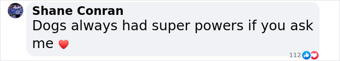 Comment about dogs having superpowers with a heart emoji.