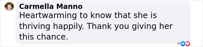 Eve The “Bare Bear” Makes Stunning Transformation Seven Years After Being Found In Dumpster Eve The “Bare Bear” Makes Stunning Transformation Seven Years After Being Found In Dumpster