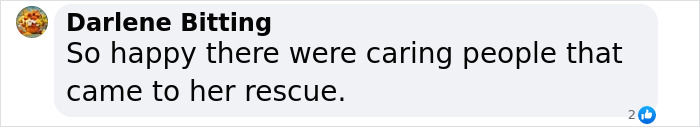 Eve The “Bare Bear” Makes Stunning Transformation Seven Years After Being Found In Dumpster Eve The “Bare Bear” Makes Stunning Transformation Seven Years After Being Found In Dumpster