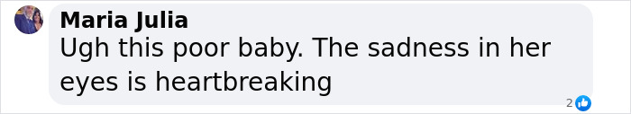 Comment expressing sympathy for a rescued 12-year-old pup; mentions the dog's heartbreaking sadness. Comment expressing sympathy for a rescued 12-year-old pup; mentions the dog's heartbreaking sadness.