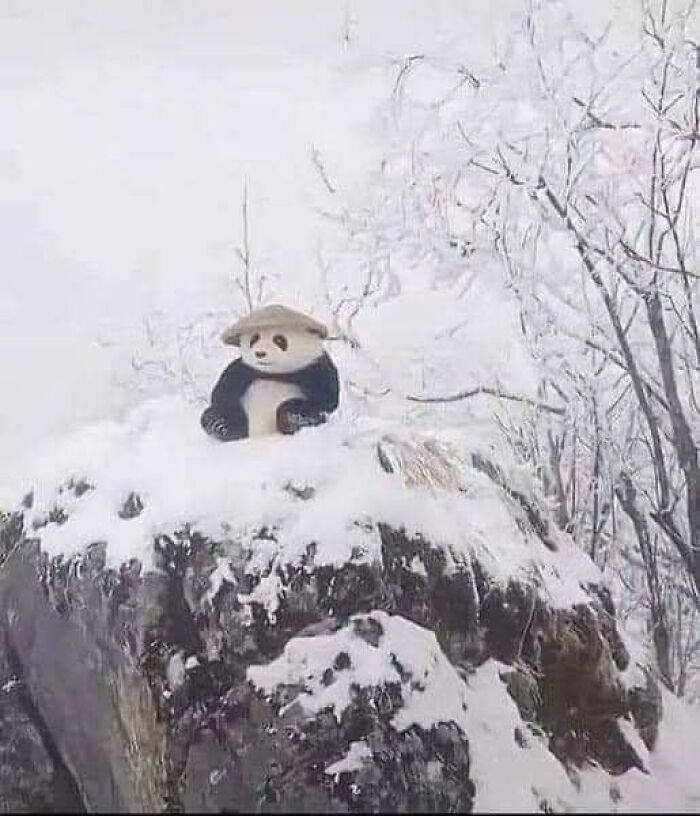 Panda wearing a hat sits on a snow-covered rock amid snowy trees, creating a blessed image.