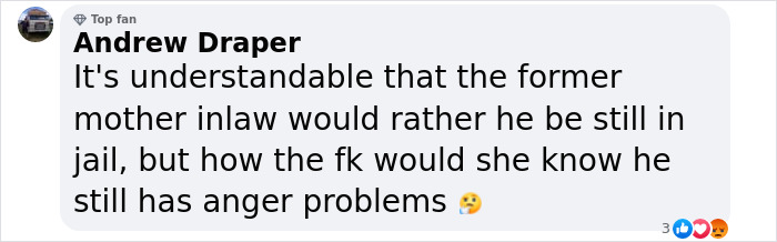 A Facebook comment discussing Oscar Pistorius's release from jail.