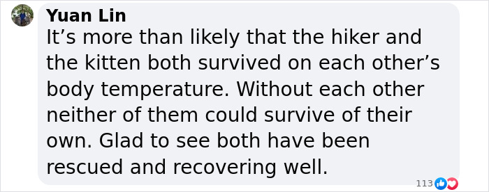 Comment discussing how a man trapped in a mountain ravine survived with the help of a kitten keeping him warm.