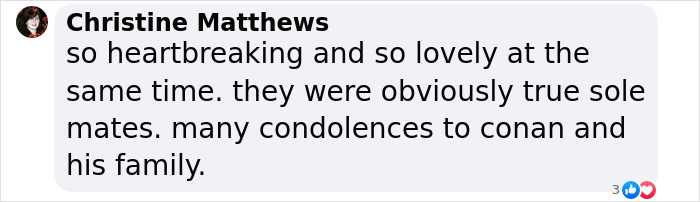 "Heartbreaking": Conan O&rsquo;Brien&rsquo;s Parents Pass Away Just 3 Days Apart After 66 Years Together