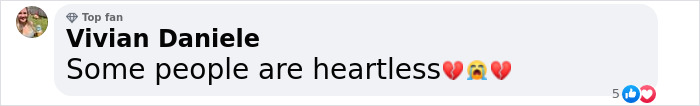 Comment from Vivian Daniele: "Some people are heartless," with heart and crying emojis.