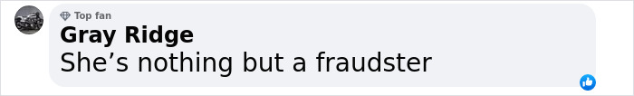 Comment from Gray Ridge calling Hannah Kobayashi a fraudster.