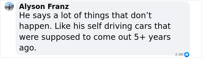 Comment criticizing Elon Musk's unfulfilled promises about self-driving cars.