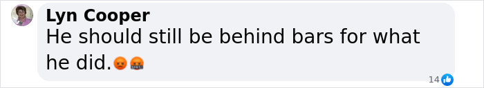 Comment expressing strong opinion on Oscar Pistorius being released from jail.