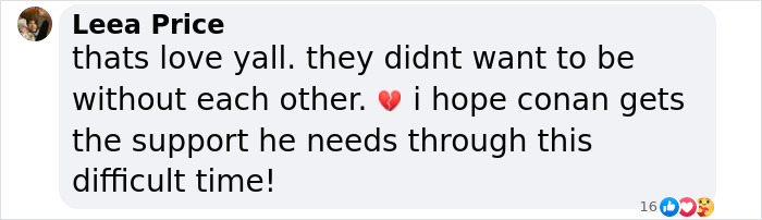 "Heartbreaking": Conan O&rsquo;Brien&rsquo;s Parents Pass Away Just 3 Days Apart After 66 Years Together