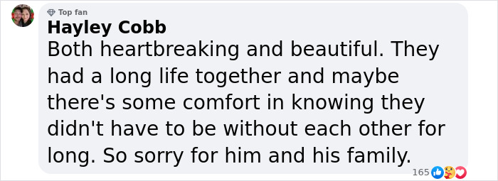 "Heartbreaking": Conan O&rsquo;Brien&rsquo;s Parents Pass Away Just 3 Days Apart After 66 Years Together