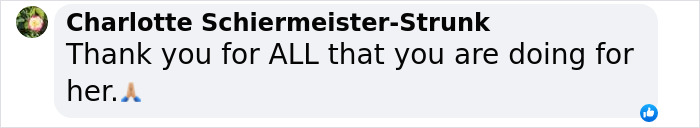 Comment expressing gratitude towards efforts for the rescued elephant. Comment expressing gratitude towards efforts for the rescued elephant.