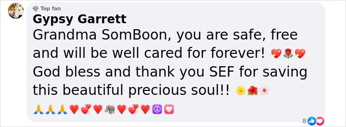 Comment praising the rescue of an elephant, thanking SEF for saving the precious soul, with emojis expressing gratitude and love. Comment praising the rescue of an elephant, thanking SEF for saving the precious soul, with emojis expressing gratitude and love.