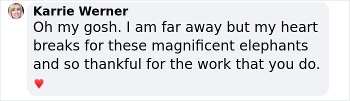 Text expresses gratitude for work rescuing elephants from chains and harm. Text expresses gratitude for work rescuing elephants from chains and harm.