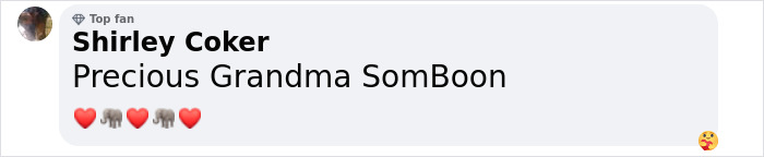 "Comment on rescued elephant featuring heart and elephant emojis from Shirley Coker. "Comment on rescued elephant featuring heart and elephant emojis from Shirley Coker.