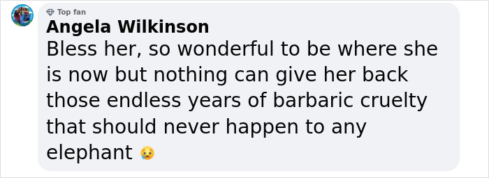 Comment expressing empathy for a rescued elephant's past suffering and newfound freedom. Comment expressing empathy for a rescued elephant's past suffering and newfound freedom.