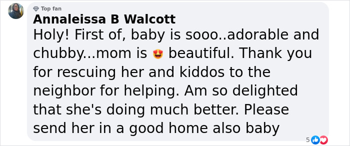 Comment praising a rescued dog and her adorable singleton puppy, highlighting their beauty and expressing gratitude. Comment praising a rescued dog and her adorable singleton puppy, highlighting their beauty and expressing gratitude.