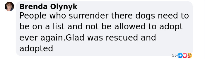 Screenshot of a social media comment about a rescued dog, discussing adoption and surrender issues. Screenshot of a social media comment about a rescued dog, discussing adoption and surrender issues.