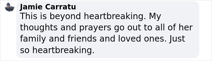30YO Woman's Heroic Act To Save Dog On Christmas Eve Ends Tragically