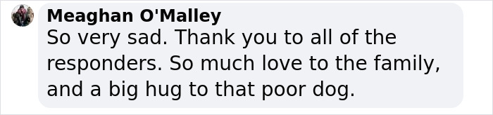 30YO Woman's Heroic Act To Save Dog On Christmas Eve Ends Tragically