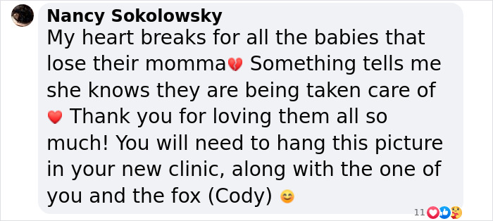 These Baby Opossums Lost Their Mom, But The Rescue Team Found A Beautiful Way To Comfort Them These Baby Opossums Lost Their Mom, But The Rescue Team Found A Beautiful Way To Comfort Them