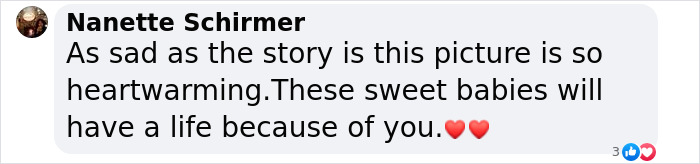 These Baby Opossums Lost Their Mom, But The Rescue Team Found A Beautiful Way To Comfort Them These Baby Opossums Lost Their Mom, But The Rescue Team Found A Beautiful Way To Comfort Them