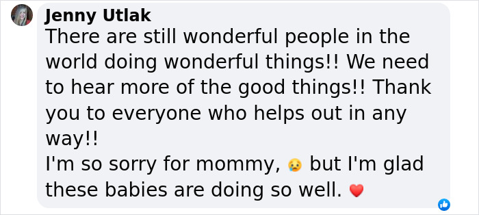 These Baby Opossums Lost Their Mom, But The Rescue Team Found A Beautiful Way To Comfort Them These Baby Opossums Lost Their Mom, But The Rescue Team Found A Beautiful Way To Comfort Them