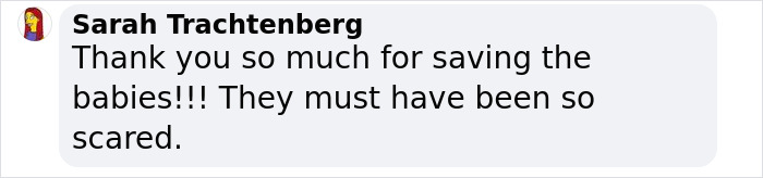 These Baby Opossums Lost Their Mom, But The Rescue Team Found A Beautiful Way To Comfort Them These Baby Opossums Lost Their Mom, But The Rescue Team Found A Beautiful Way To Comfort Them