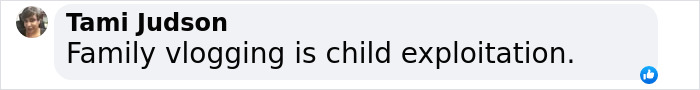 Comment criticizing family vlogging, highlighting child exploitation concerns.