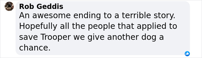 Facebook comment expressing joy about Trooper the dog finding a forever home after being tied during Hurricane Milton. Facebook comment expressing joy about Trooper the dog finding a forever home after being tied during Hurricane Milton.