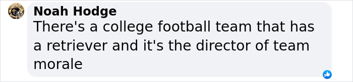 College B-Ball Team Employs Golden Retriever As Their &lsquo;Director Of Pawsitivity,&rsquo; And Netizens Love It